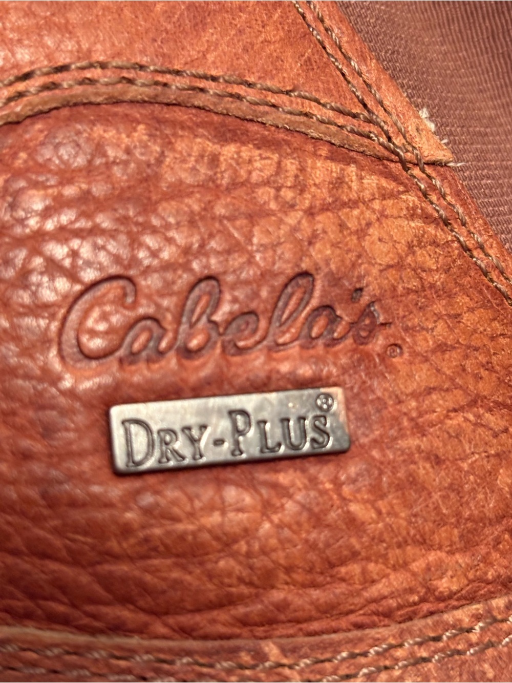 Cabela's Men's Chestnut Brown Dry-Plus Leather Boots - Size 12EE
